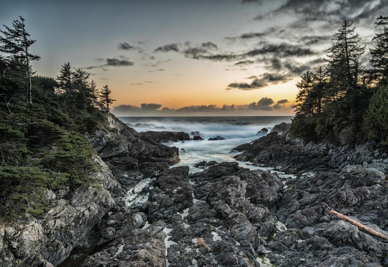 Wild Pacific Guest Suites Ucluelet Kültér fotó